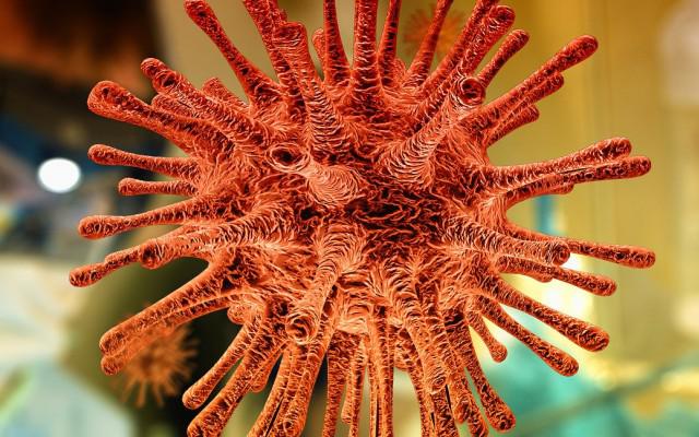 Coronavirus COVID-19: informations et points d'action